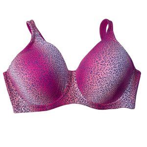 Brigette Seamless Underwire T Shirt Bra Pink Purple Model 5028 Size 42 C New